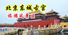 插进她的小穴视频中国北京-东城古宫旅游风景区